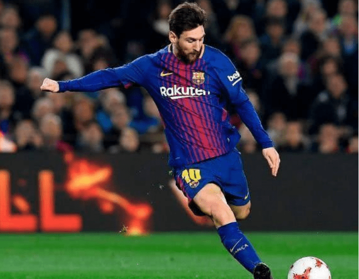 怀特在赛季 怀特在赛季